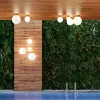 Потолочный светильник Odeon Light 4248/1C 4248/1C - 3