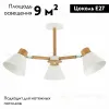 Потолочная люстра Evoluce Buve SLE103702-03 SLE103702-03 - 2