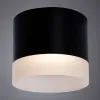 Потолочный светильник Arte Lamp Castor A5554PL-1BK A5554PL-1BK - 3