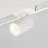 Трековый светодиодный светильник Arlight Mag-Spot-45-R85-5W Warm3000 030653 030653 - 2