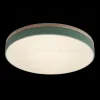 Потолочный светильник Loft IT AXEL 10001/36 Green 10001/36 Green - 5