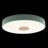 Потолочный светильник Loft IT AXEL 10003/24 Green 10003/24 Green - 2