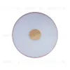 Потолочный светильник Loft IT AXEL 10003/24 Pink 10003/24 Pink - 2