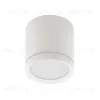 Потолочный светильник Denkirs DK4016 DK4013-WH DK4013-WH - 1