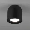 Потолочный светильник Elektrostandard Ogma DLN116 GU10 черный 4690389153358 4690389153358 - 4