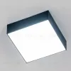 Накладной светильник Citilux Тао CL712X122N CL712X122N - 19