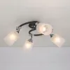 Потолочная люстра Citilux Сиерра CL119241 CL119241 - 3