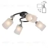 Потолочная люстра Citilux Сиерра CL119241 CL119241 - 1