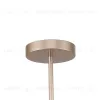 Люстра на штанге F-Promo Calor 2774-5P 2774-5P - 3