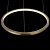 Подвесной светодиодный светильник Loft IT Ring 10014S 10014S - 5