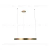 Подвесной светодиодный светильник Loft IT Ring 10013L 10013L - 3