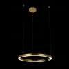 Подвесной светодиодный светильник Loft IT Ring 10013L 10013L - 4