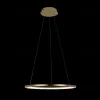 Подвесной светодиодный светильник Loft IT Ring 10014M 10014M - 5