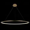 Подвесной светодиодный светильник Loft IT Ring 10014XXL 10014XXL - 4