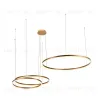 Подвесной светодиодный светильник Loft IT Ring 10017/3M 10017/3M - 1