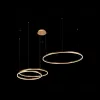 Подвесной светодиодный светильник Loft IT Ring 10017/3S 10017/3S - 4
