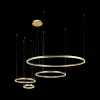 Подвесной светодиодный светильник Loft IT Ring 10017/4S 10017/4S - 4