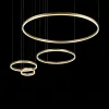 Подвесной светодиодный светильник Loft IT Ring 10017/4S 10017/4S - 2