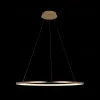 Подвесной светодиодный светильник Loft IT Ring 10014L 10014L - 5