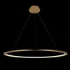 Подвесной светодиодный светильник Loft IT Ring 10014L 10014L - 6