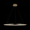 Подвесной светодиодный светильник Loft IT Ring 10014XL 10014XL - 5