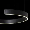 Подвесной светодиодный светильник Loft IT Ring 10025/400 Black 10025/400 Black - 6