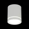 Накладной светильник Omnilux Capurso OML-102409-05 OML-102409-05 - 3