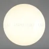 Потолочный светильник Omnilux Berkeley OML-43007-40 OML-43007-40 - 3