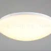 Потолочный светильник Omnilux Berkeley OML-43007-40 OML-43007-40 - 4