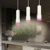 Подвесной светильник Ambrella Light Techno XP7401003 (A2301, C6342, A2030, C7401, N7193) XP7401003 - 2