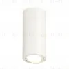 Накладной поворотный светильник Ambrella Light Techno XS7442001 (C7442, N7001) XS7442001 - 1