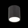 Потолочный светильник ST Luce Rene ST113.442.05 ST113.442.05 - 3