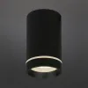 Потолочный светильник Aployt Edda APL.0054.19.10 APL.0054.19.10 - 2