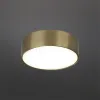 Потолочный светильник Aployt Evon APL.0114.29.12 APL.0114.29.12 - 2