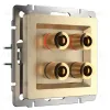 Акустическая розетка Werkel шампань рифленый W1185010 4690389160646 4690389160646 - 1