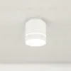 Накладной светильник Citilux Борн CL745020N CL745020N - 7