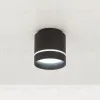 Накладной светильник Citilux Борн CL745021N CL745021N - 9
