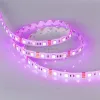 Светодиодная лента Arlight Rtw-se-b60-10mm 5060 014618(2) 014618(2) - 5