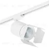 Трековый светильник Lightstar Canno LED (303264+202996) C326496 C326496 - 1