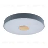 Потолочный светильник Loft IT AXEL 10003/24 Grey 10003/24 Grey - 1