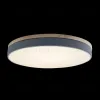 Потолочный светильник Loft IT AXEL 10001/36 Grey 10001/36 Grey - 2