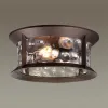 Уличный потолочный светильник Odeon Light Mavret 4961/2C 4961/2C - 2