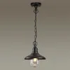 Уличный подвесной светильник Odeon Light Campa 4965/1 4965/1 - 2