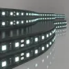 Светодиодная лента Elektrostandard 24V 14,4W 60Led 5050 IP20 холодный белый, Black, 5м 4690389172205 4690389172205 - 1
