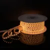 Светодиодная лента Elektrostandard 220V 11W 60Led 5050 IP65 мульти, 50 м 4690389170942 4690389170942 - 4