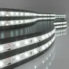 Светодиодная лента Elektrostandard 24V 4,8W 60Led 2835 IP65 холодный белый, 5м 4690389167843 4690389167843 - 1