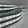 Светодиодная лента Elektrostandard 12V 4,8W 60Led 2835 IP20 холодный белый, 5м 4690389124136 4690389124136 - 1