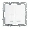Выключатель двухклавишный Stekker Эрна с подсветкой белый PSW10-9102-01 39310 39310 - 1