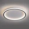 Потолочный светодиодный светильник Feron Ring AL5800 41557 41557 - 3