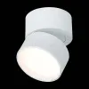 Накладной светильник ST Luce ST651 ST651.532.09 ST651.532.09 - 3